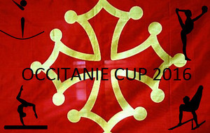 Résultats de l'Occitanie Cup 2016