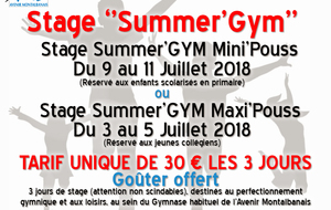 Nouveau! Stages Summer's Gym
