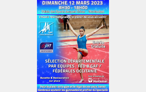sélection Départementale par Equipes  FED B GAF / FED Occitanie