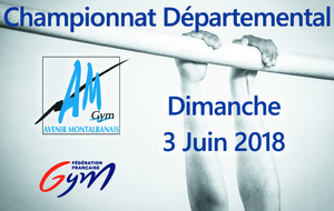 Championnat Départemental GAF