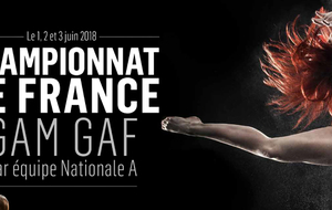 Championnat de France GAM GAF par équipe national A