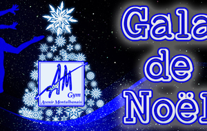 Gala de Noël P3 + groupes compétition