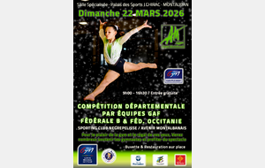 Championnat départemental par équipes Fed B / Fed Occ