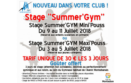 Nouveau! Stages Summer's Gym